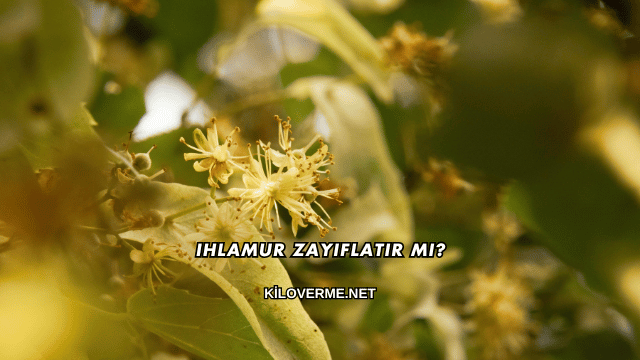 Ihlamur Zayıflatır mı?