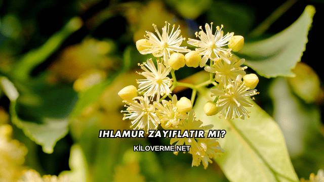 Ihlamur Zayıflatır mı?
