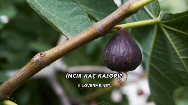 İncir Kaç Kalori?