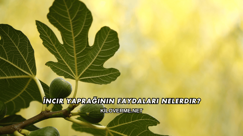 İncir Yaprağının Faydaları Nelerdir?