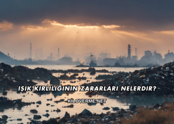 Işık Kirliliğinin Zararları Nelerdir?