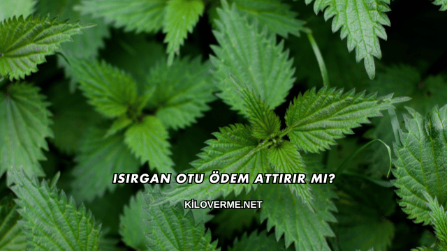 Isırgan Otu Ödem Attırır mı?