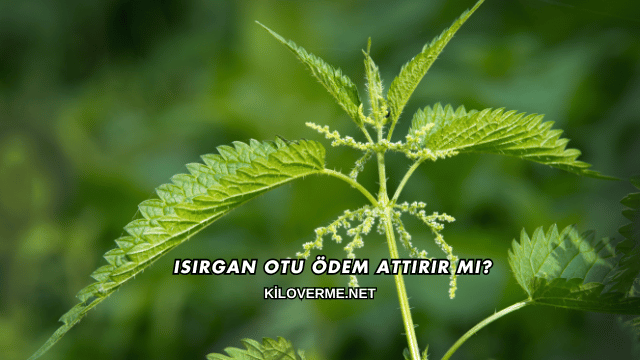 Isırgan Otu Ödem Attırır mı?
