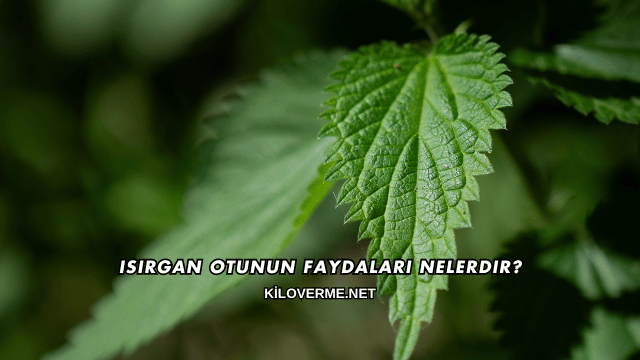 Isırgan Otunun Faydaları Nelerdir?