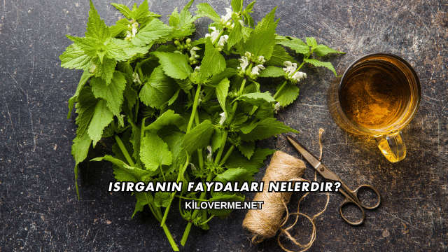 Isırganın Faydaları Nelerdir?