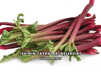 Işkının Faydaları Nelerdir?