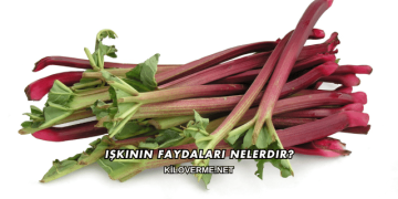 Işkının Faydaları Nelerdir?