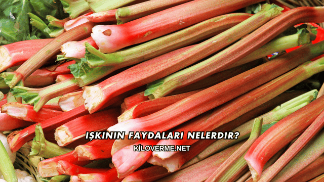 Işkının Faydaları Nelerdir?