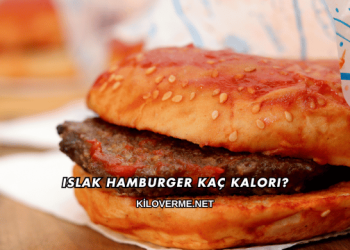 Islak Hamburger Kaç Kalori?