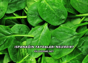 Ispanağın Faydaları Nelerdir?