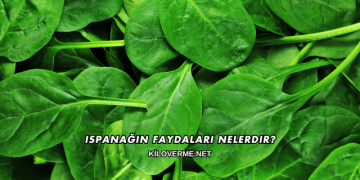 Ispanağın Faydaları Nelerdir?