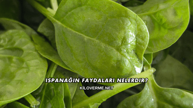 Ispanağın Faydaları Nelerdir?