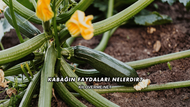 Kabağın Faydaları Nelerdir?
