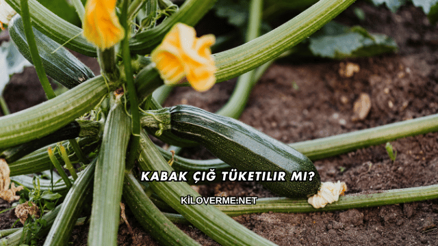 Kabak Çiğ Tüketilir mi?