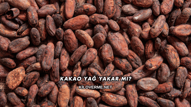 Kakao Yağ Yakar mı?