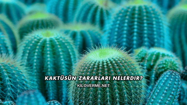 Kaktüsün Zararları Nelerdir?