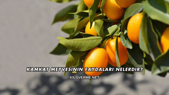 Kamkat Meyvesinin Faydaları Nelerdir?