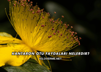 Kantaron Otu Faydaları Nelerdir?