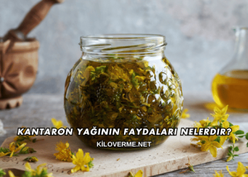 Kantaron Yağının Faydaları Nelerdir?