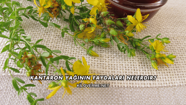 Kantaron Yağının Faydaları Nelerdir?