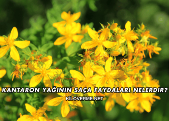 Kantaron Yağının Saça Faydaları Nelerdir?