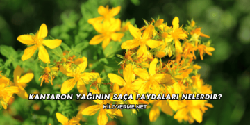 Kantaron Yağının Saça Faydaları Nelerdir?