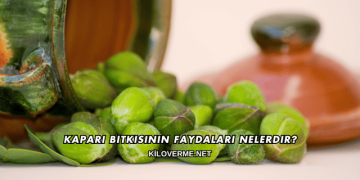 Kapari Bitkisinin Faydaları Nelerdir?