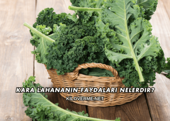 Kara Lahananın Faydaları Nelerdir?