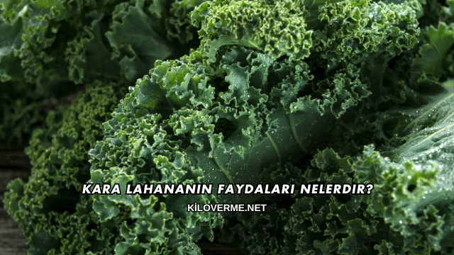 Kara Lahananın Faydaları Nelerdir?