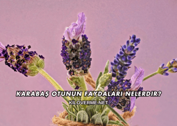 Karabaş Otunun Faydaları Nelerdir?
