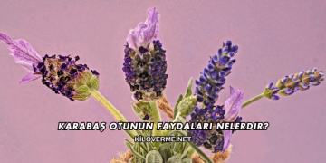 Karabaş Otunun Faydaları Nelerdir?