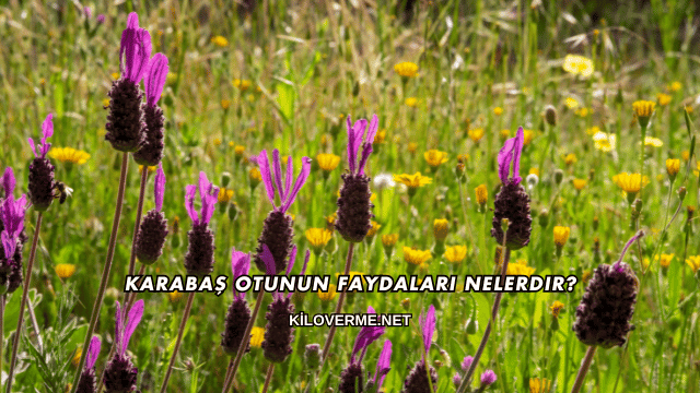 Karabaş Otunun Faydaları Nelerdir?