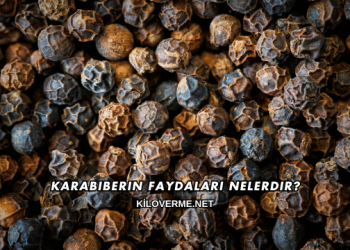 Karabiberin Faydaları Nelerdir?
