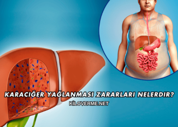 Karaciğer Yağlanması Zararları Nelerdir?