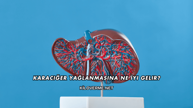 Karaciğer Yağlanmasına Ne İyi Gelir?