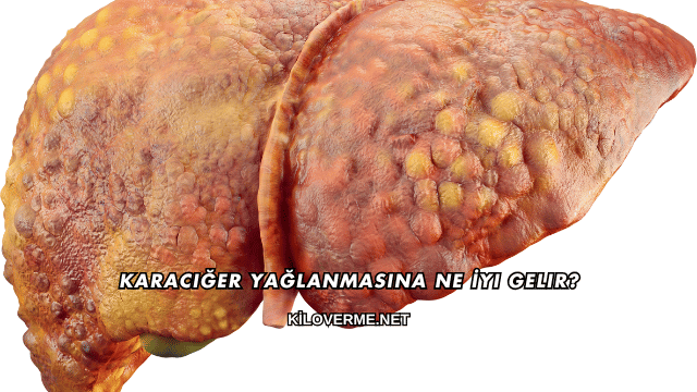 Karaciğer Yağlanmasına Ne İyi Gelir?