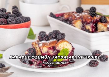 Karadut Özünün Faydaları Nelerdir?