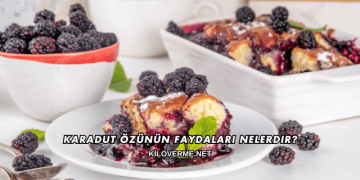 Karadut Özünün Faydaları Nelerdir?