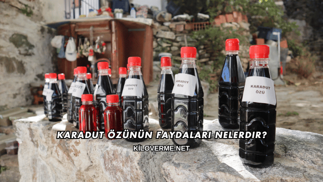 Karadut Özünün Faydaları Nelerdir?
