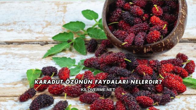 Karadut Özünün Faydaları Nelerdir?