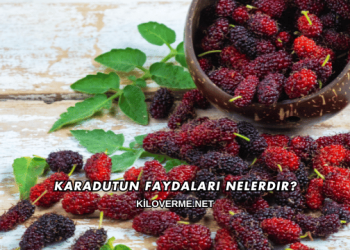Karadutun Faydaları Nelerdir?