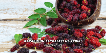 Karadutun Faydaları Nelerdir?