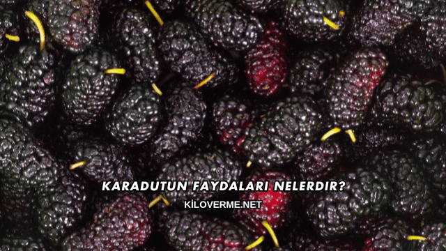 Karadutun Faydaları Nelerdir?