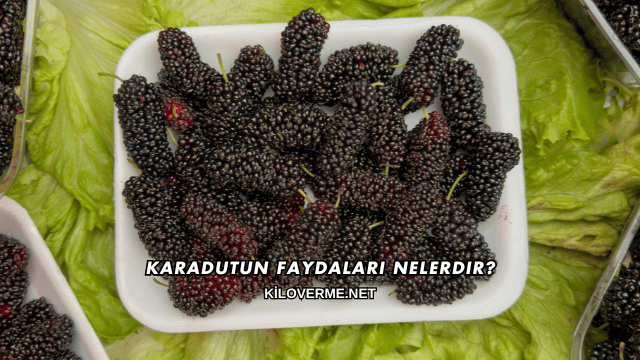 Karadutun Faydaları Nelerdir?