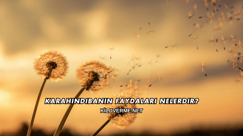 Karahindibanın Faydaları Nelerdir?