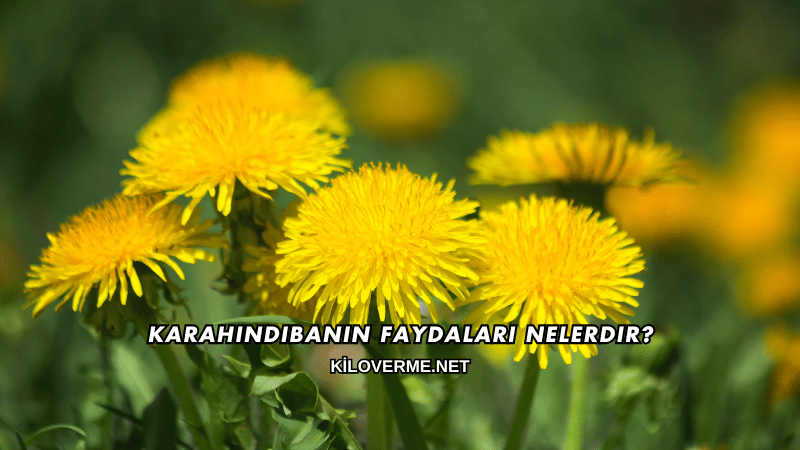 Karahindibanın Faydaları Nelerdir?