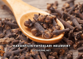 Karanfilin Faydaları Nelerdir?