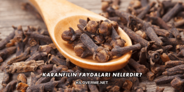 Karanfilin Faydaları Nelerdir?
