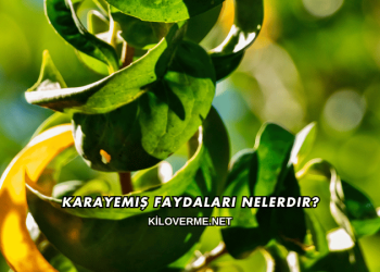 Karayemiş Faydaları Nelerdir?