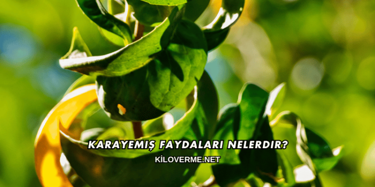Karayemiş Faydaları Nelerdir?